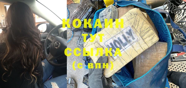 индика Аркадак