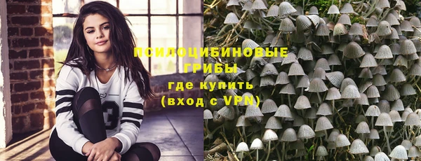 крисы Белоозёрский