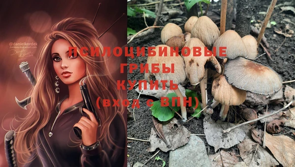 крисы Белоозёрский