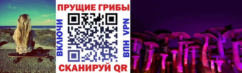 Псилоцибиновые грибы прущие грибы  Болохово 